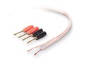 ؐQ(mo)ףϺ޹˾:AV23002zh50
