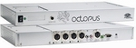 Phoenixhϵy(tng)߅Octopus-----c(din)Ŵ