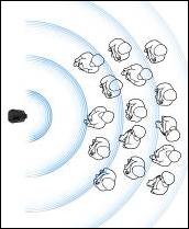 Bose L1 CompactʘU(ku)ϵy(tng)l(f)